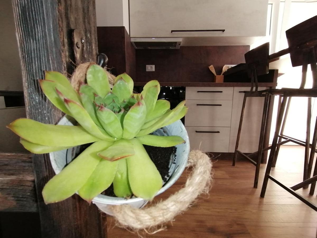 Apartmani Kiko Porec Esterno foto